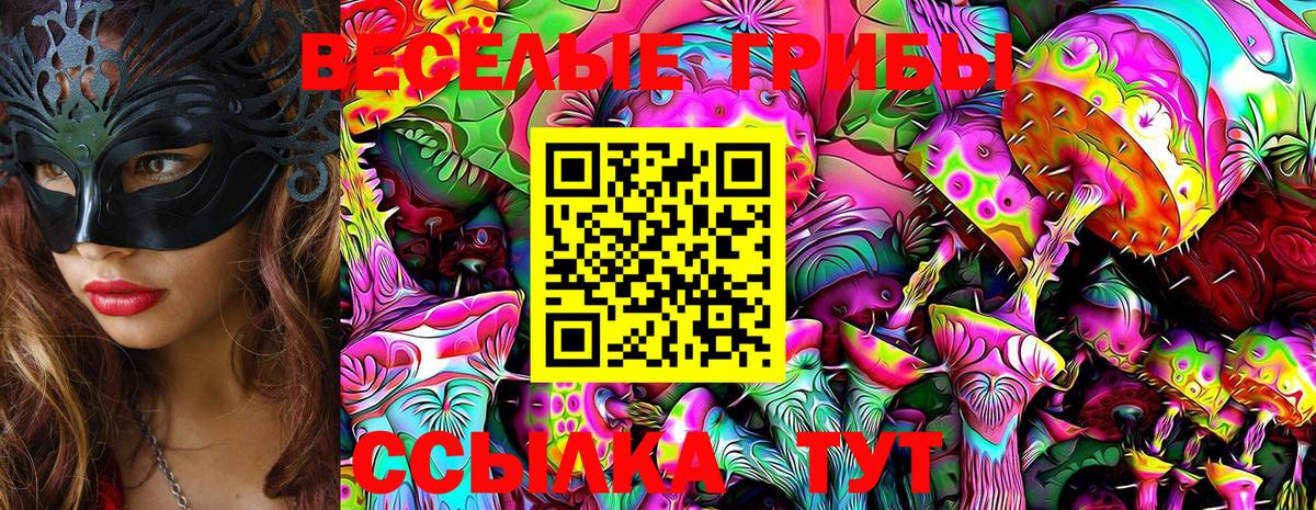 Галлюциногенные грибы Psilocybe Фрязино