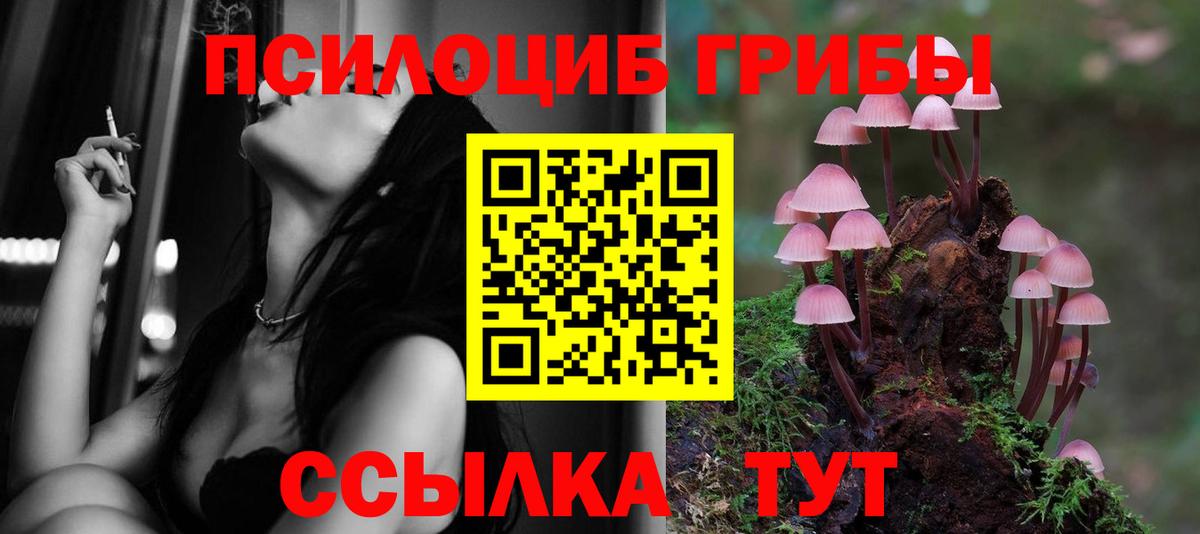 Псилоцибиновые грибы MAGIC MUSHROOMS  Псилоцибиновые грибы прущие грибы  Фрязино  Вход с VPN 